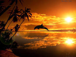 Une image du coucher de soleil